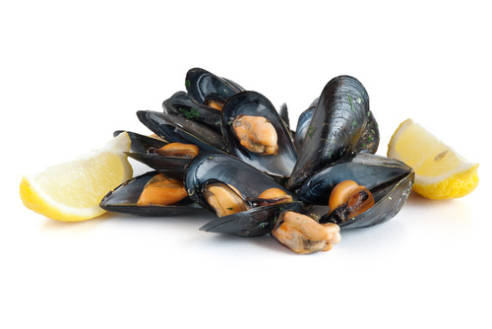 Miesmuscheln frisch 2000 g Miesmuscheln frisch 2000 g