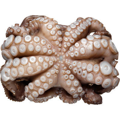 Pulpo-Krake T4 Blumenform tiefgefroren ca. 1500 g