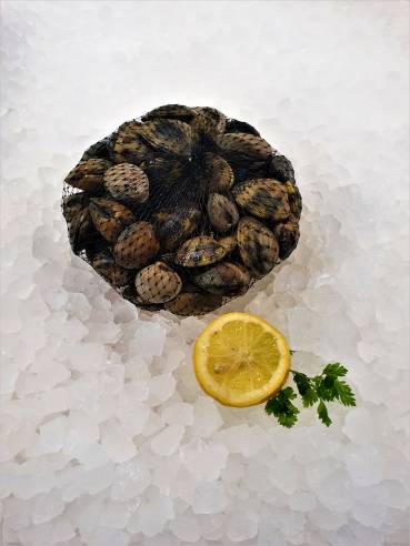 Vongole Veraci frisch ca. 1000 g Vongole Veraci frisch ca. 1000 g