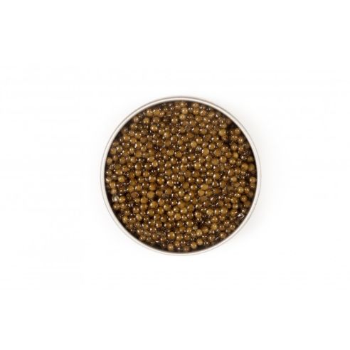 Caspian Caviar Finest Caviar Störroggen 50 g Caspian Caviar Finest Caviar Störroggen 50 g