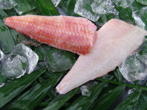 Meerbarbenfilet mit Haut tiefgefroren 1000 g