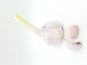 Frischer Knoblauch ca. 100 g