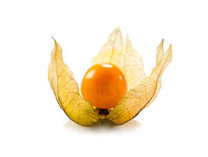 Physalis 1 Schale ca. 100 g