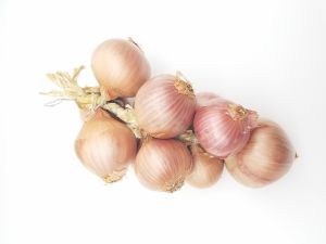 Roscoff Zwiebeln Stück