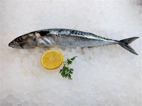 Mare Atlantico  Makrele ca. 300 g