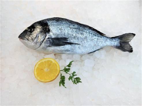 Mare Atlantico Dorade Royal-Sea Bream frisch 500 g Mare Atlantico Dorade Royal-Sea Bream frisch 500 g
