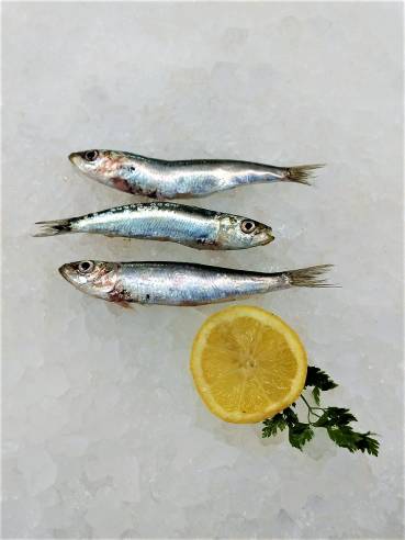 Sarda Sardinen frisch ca. 500 g Sarda Sardinen frisch ca. 500 g