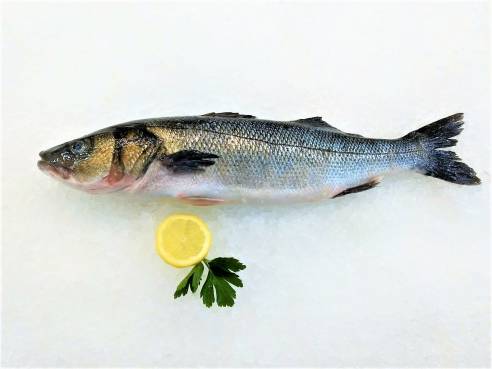 Wolfsbarsch (Loup de mer) groß frisch Wolfsbarsch (Loup de mer) groß frisch